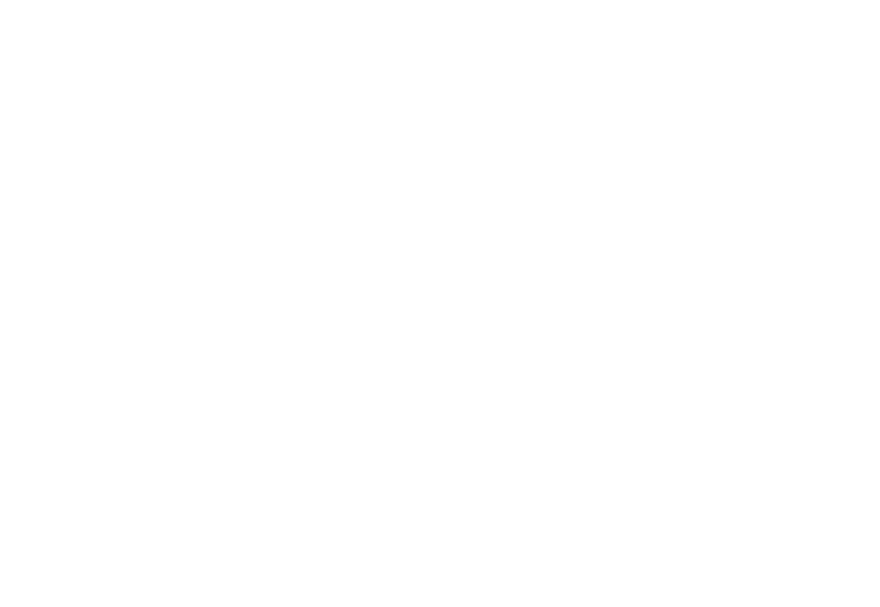 Destiny Enterprises Logo - White Version