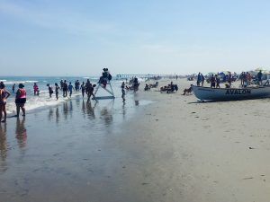 Avalon beach near Sea Pines