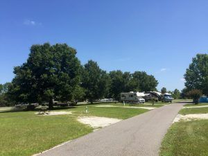 Campsite Road