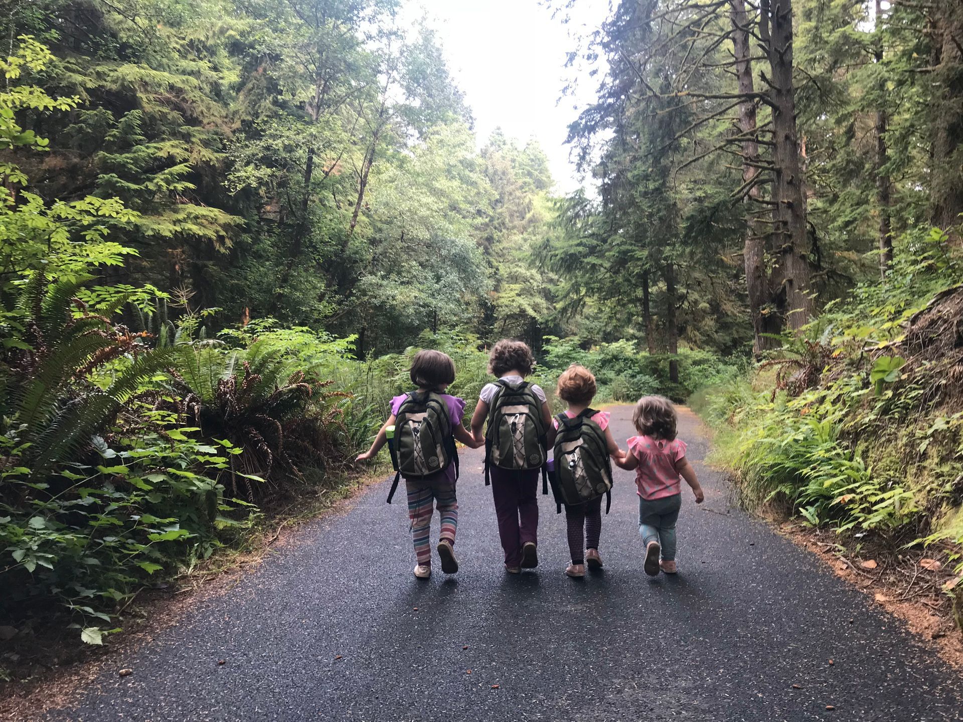 A group of children are walking down a path in the woods.