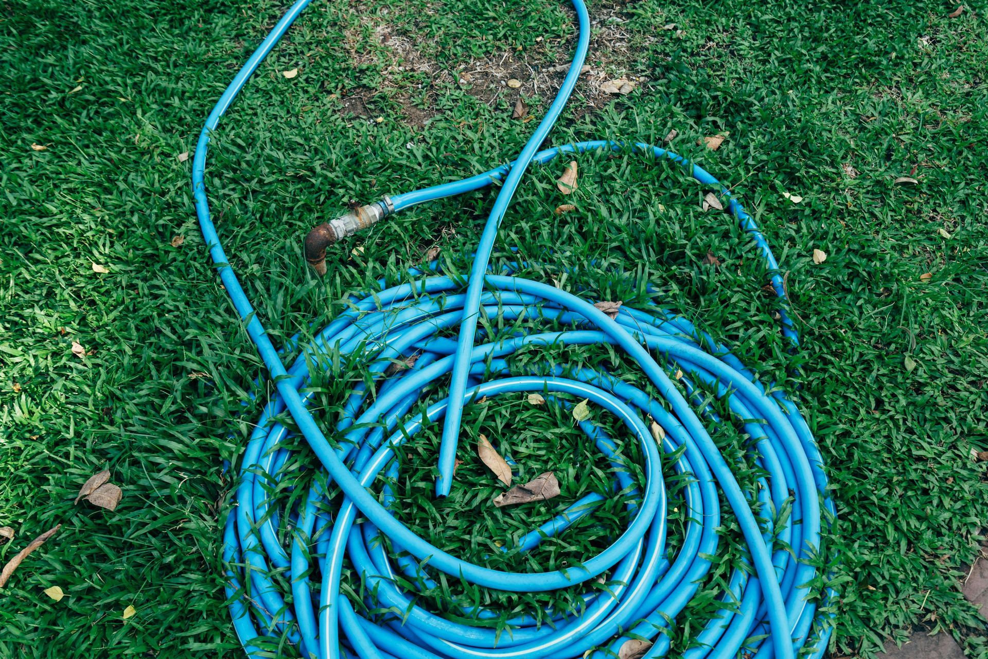 A blue hose is sitting on top of a lush green field.