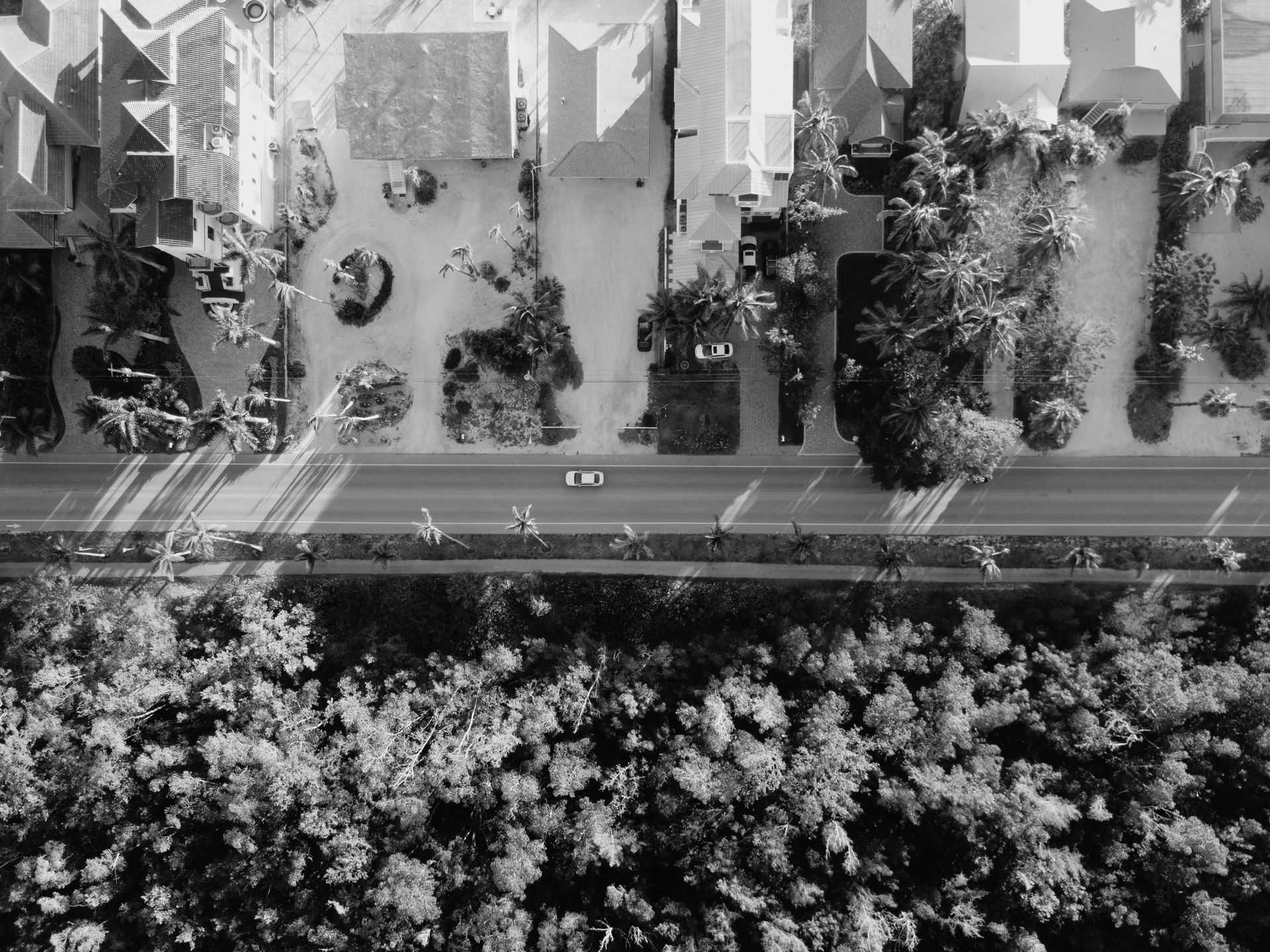 An aerial view of a residential area with trees and houses