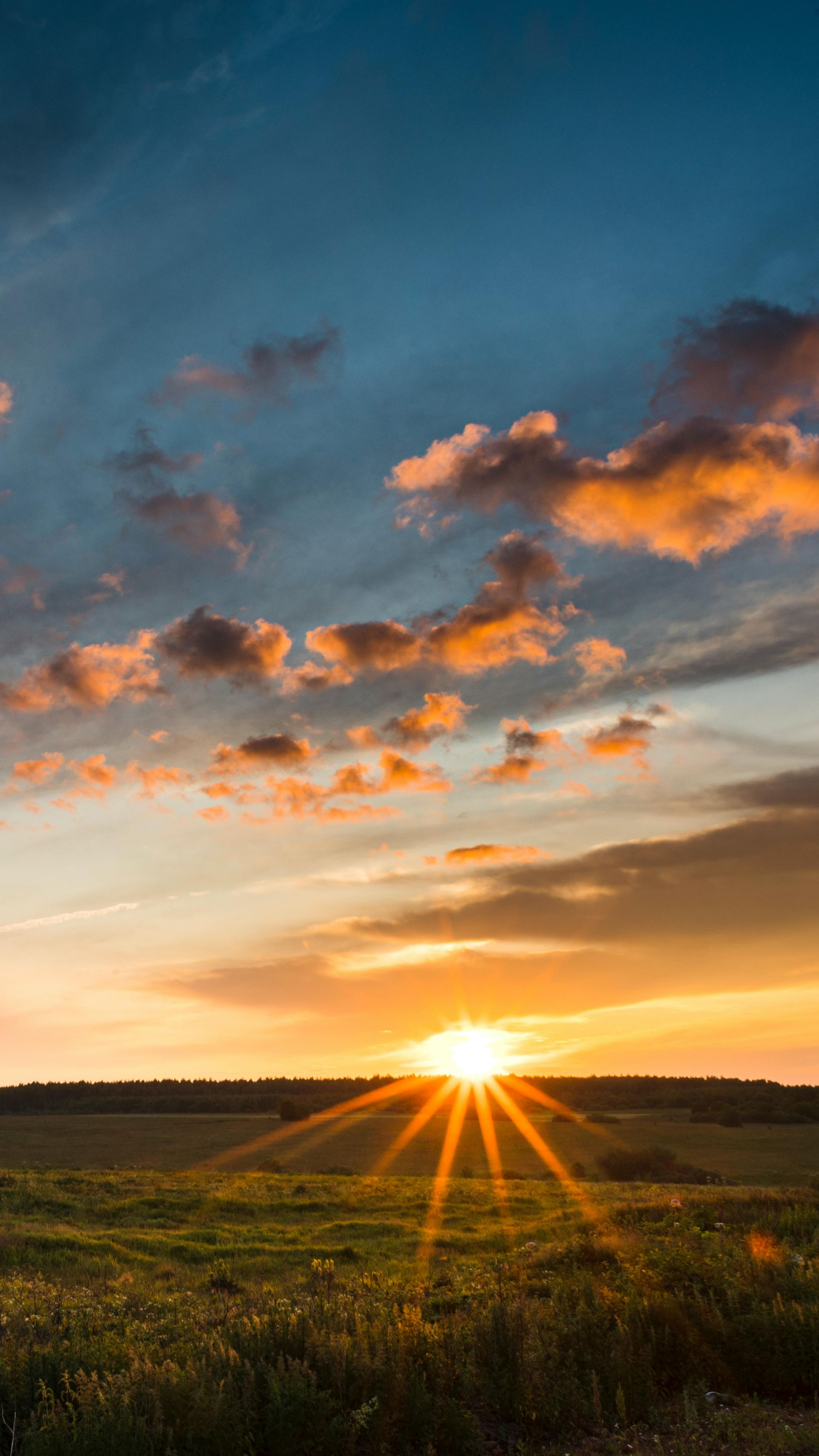 Sunset over a grassy field, with orange clouds and sun rays spreading across the horizon