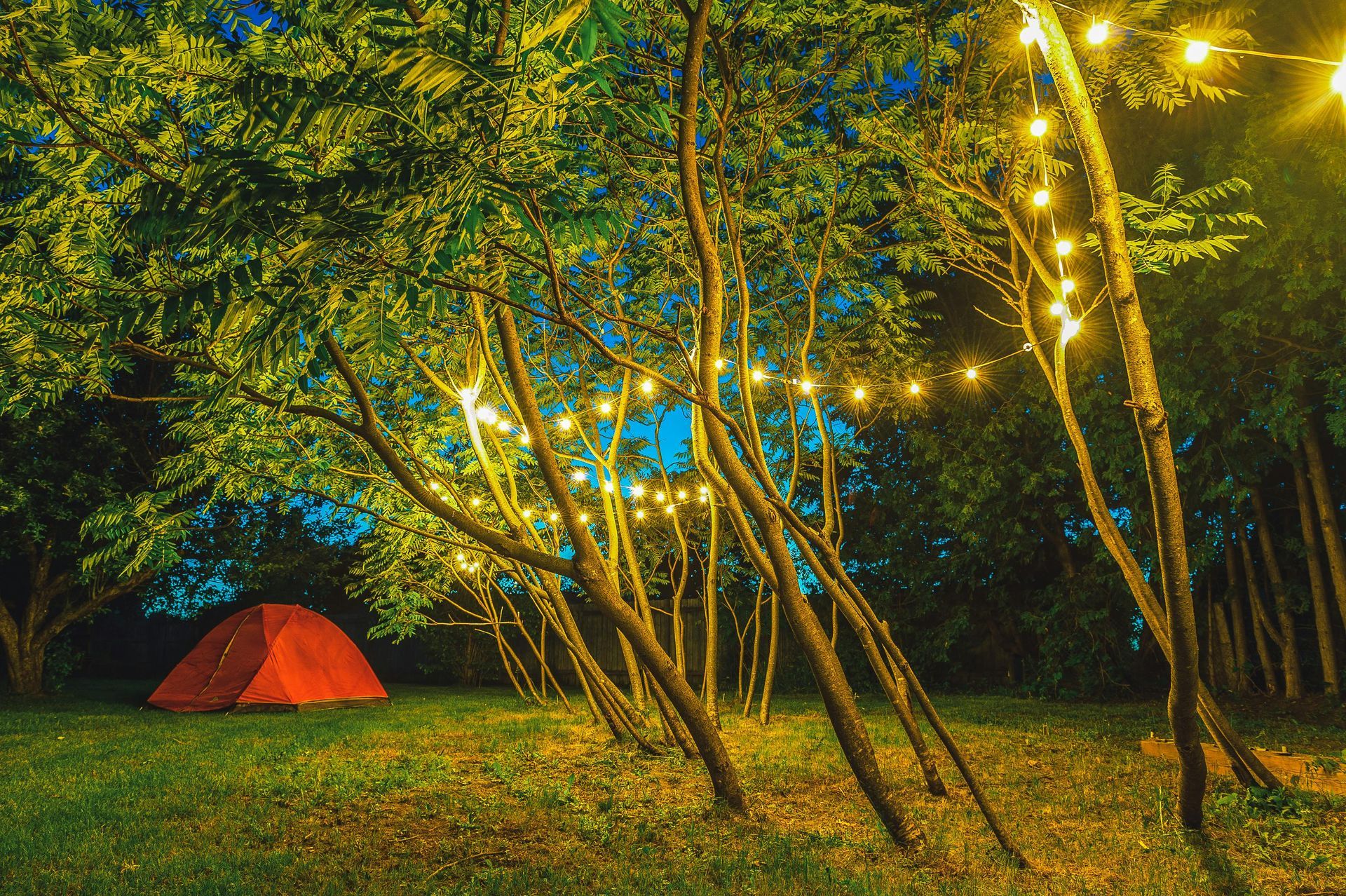 A red tent is sitting in the middle of a forest at night.