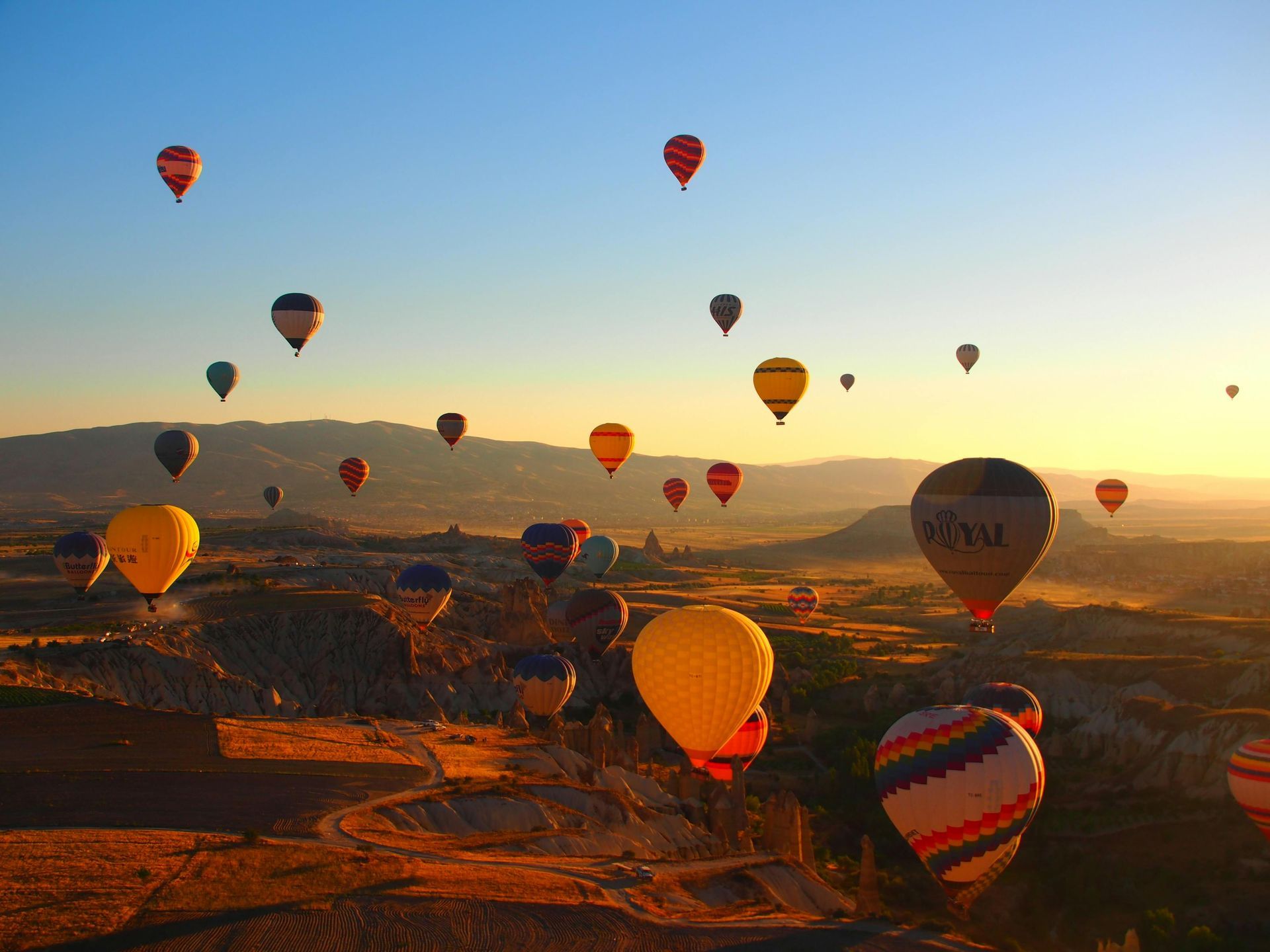 A bunch of hot air balloons are flying in the sky at sunset.