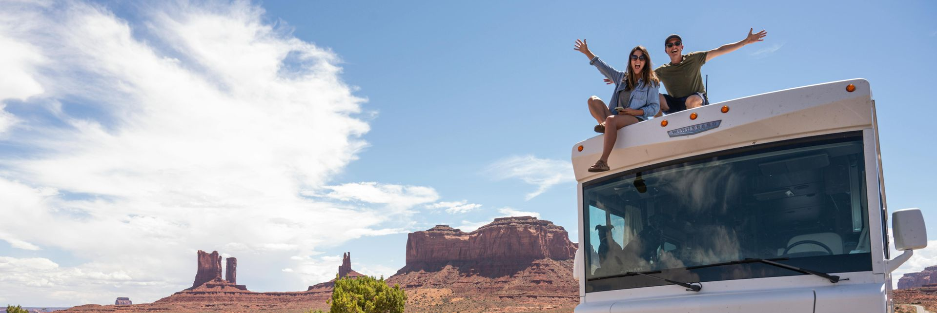 A sign that says `` coming soon '' next to a branch of eucalyptus leaves.