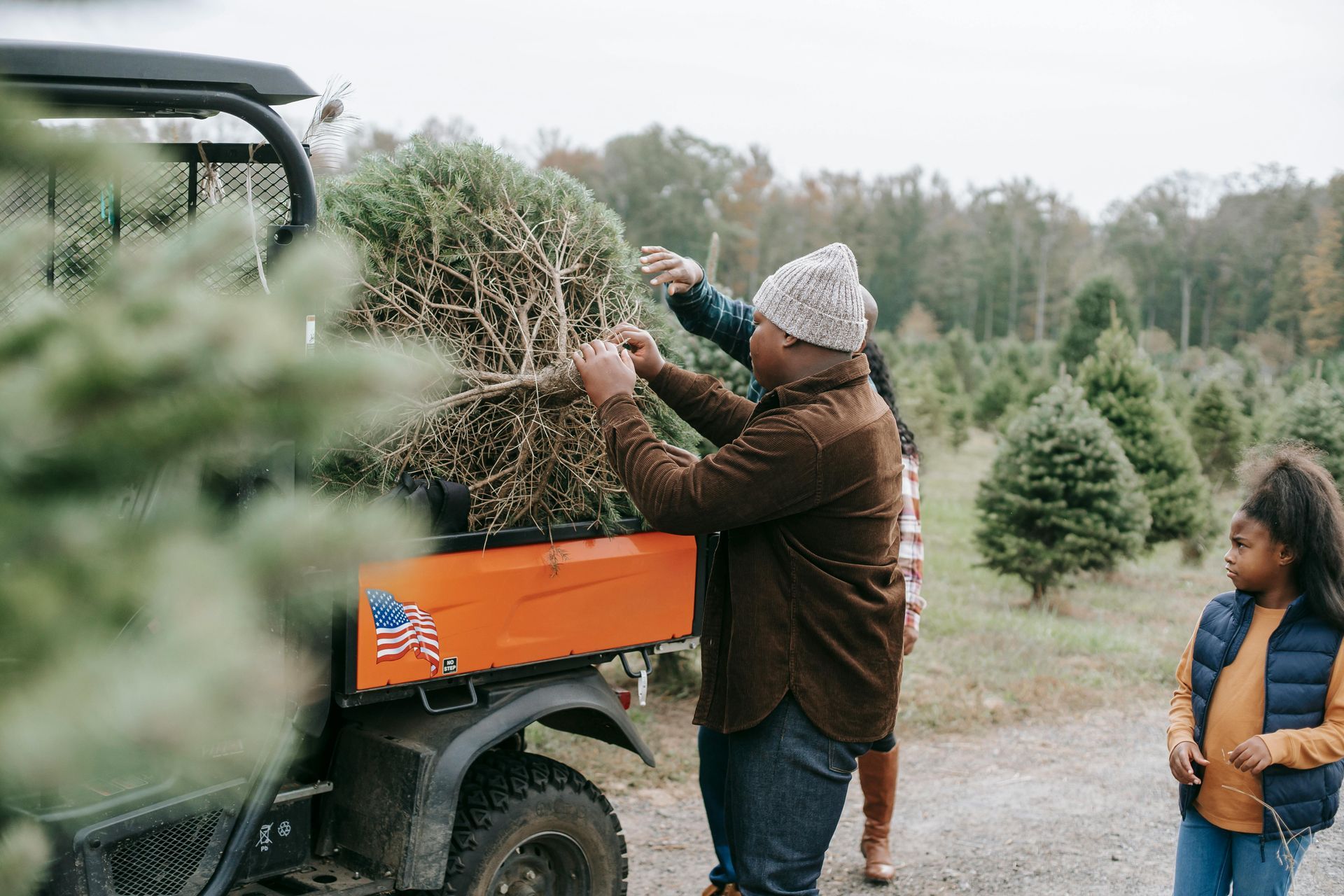 A man is loading a christmas tree into the back of a utility vehicle.