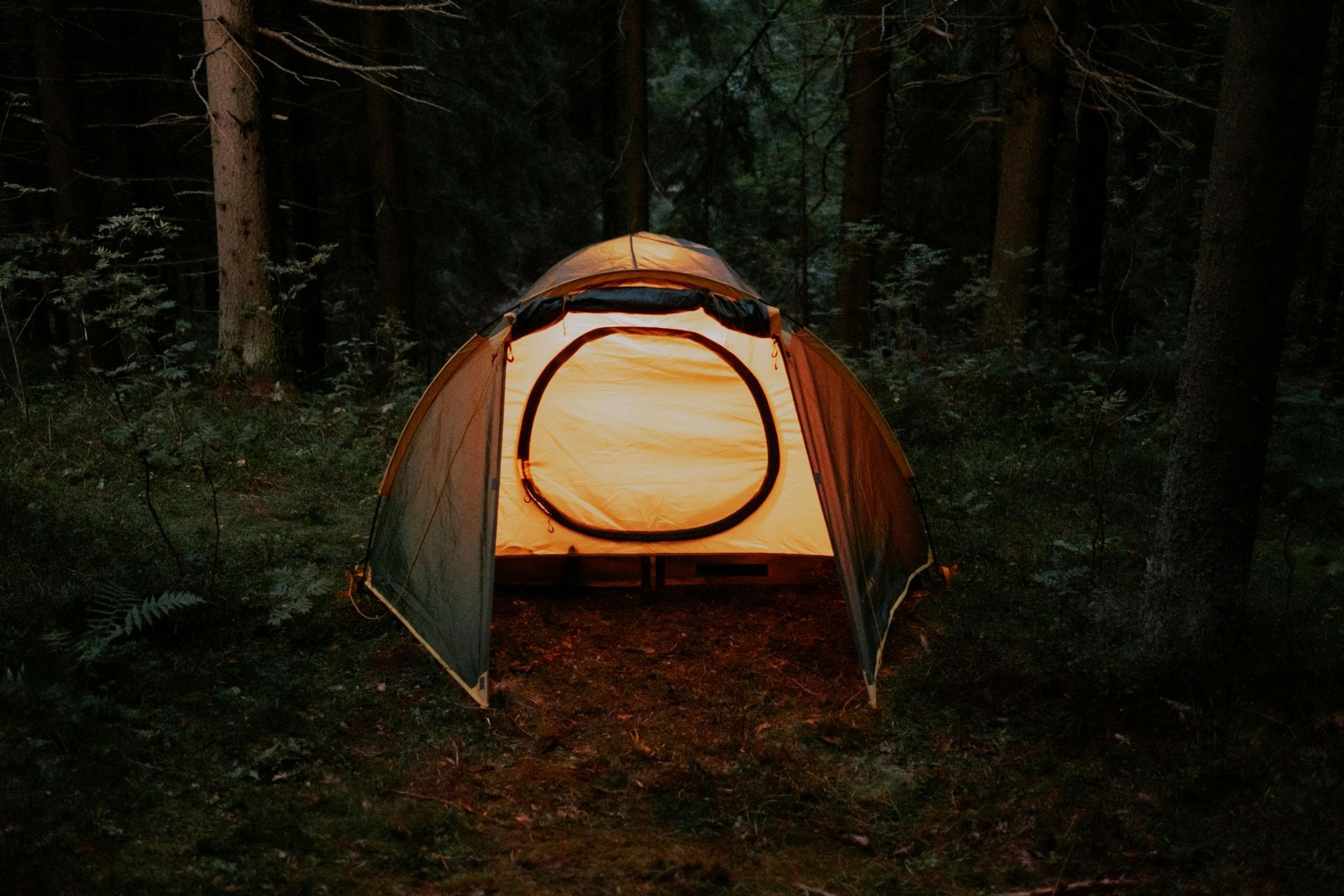 A tent is lit up in the middle of a forest.