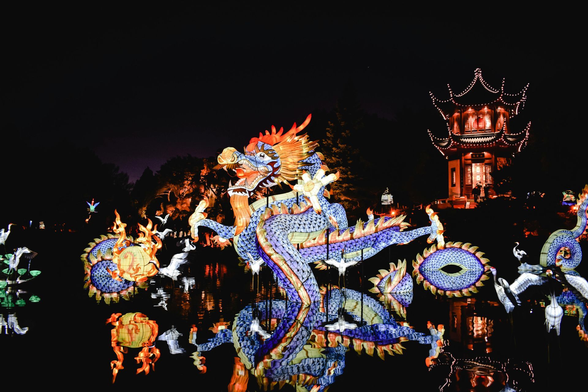 A large, illuminated dragon sculpture in blue, gold, and orange, surrounded by other lit displays. A pagoda is in the background.