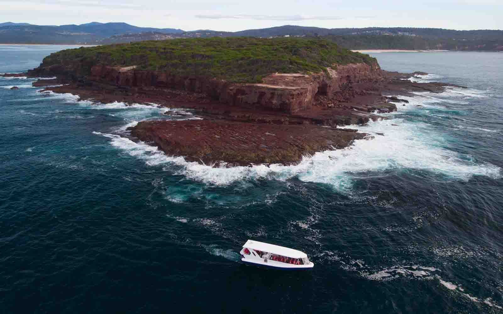 Aerial view of our whale watching boat chartering the Sapphire Coast. 