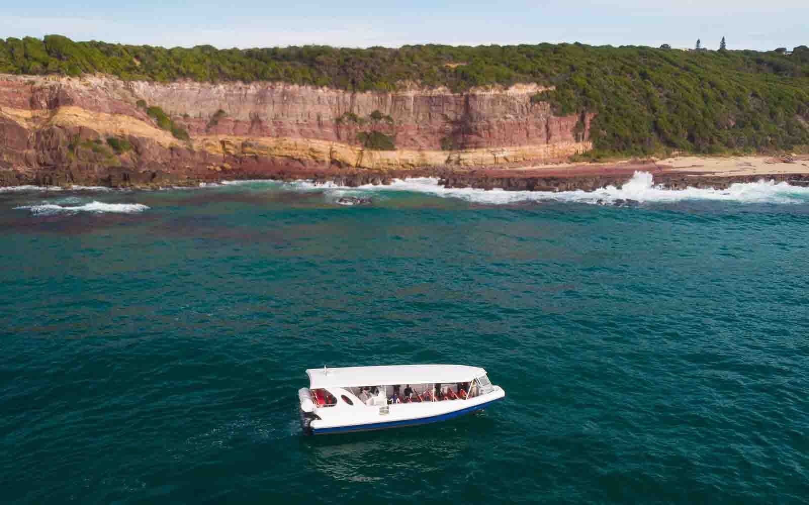 Whale watching charters on the NSW South Coast