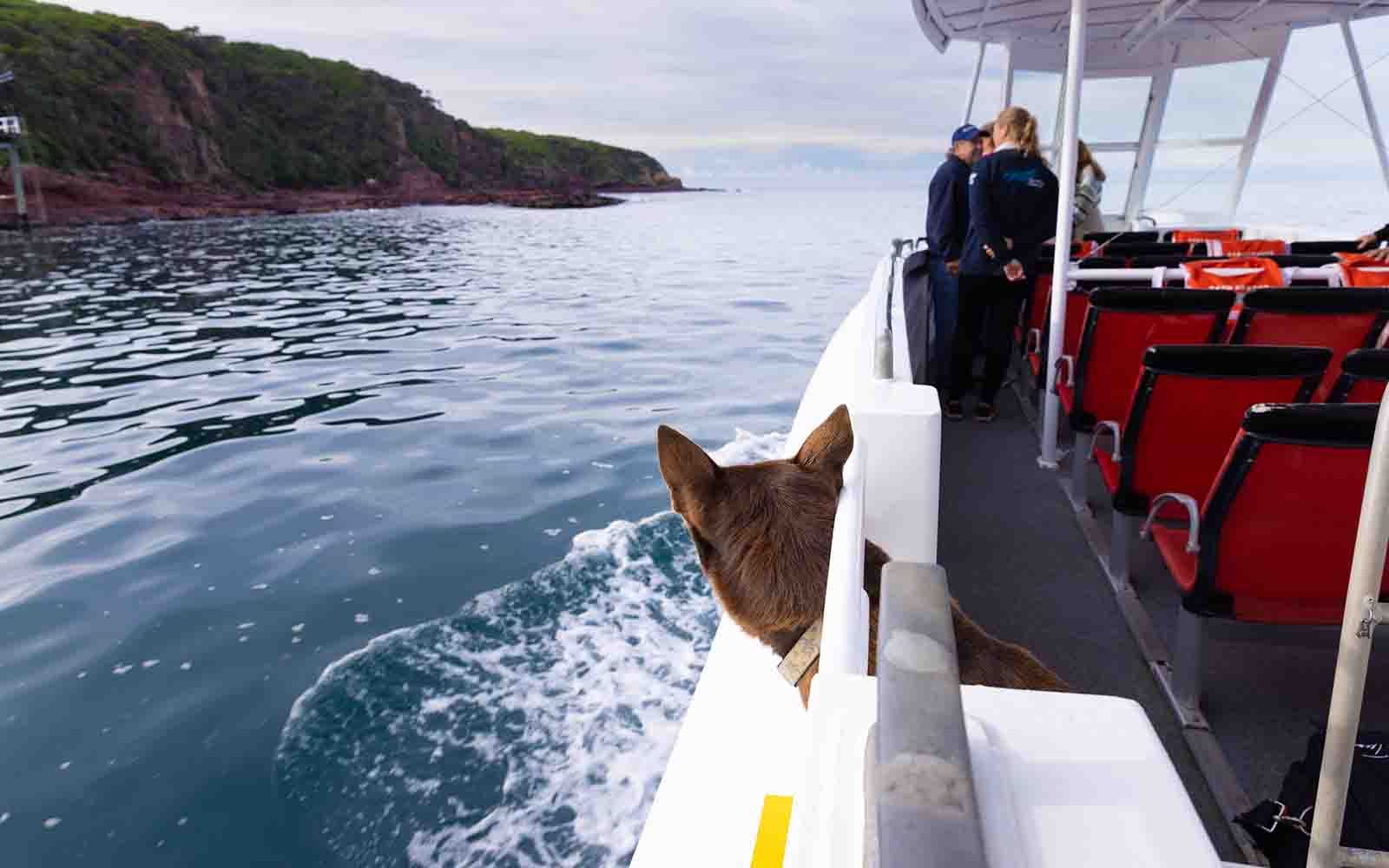 Private fishing charter, Merimbula NSW