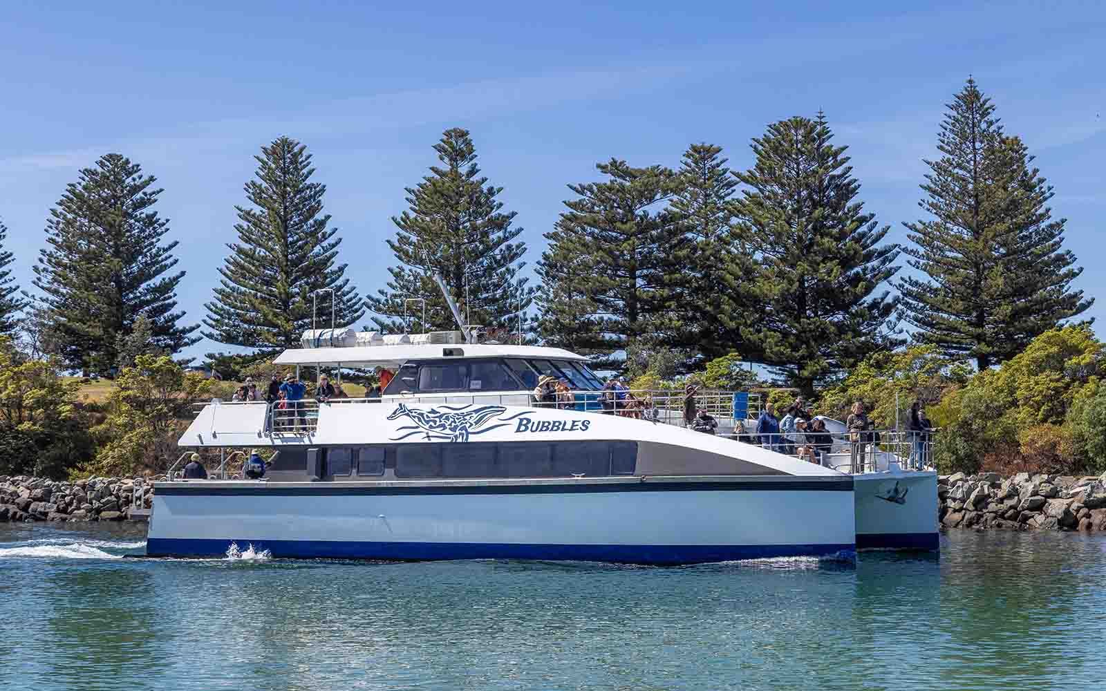 Whale watching cruise in Merimbula