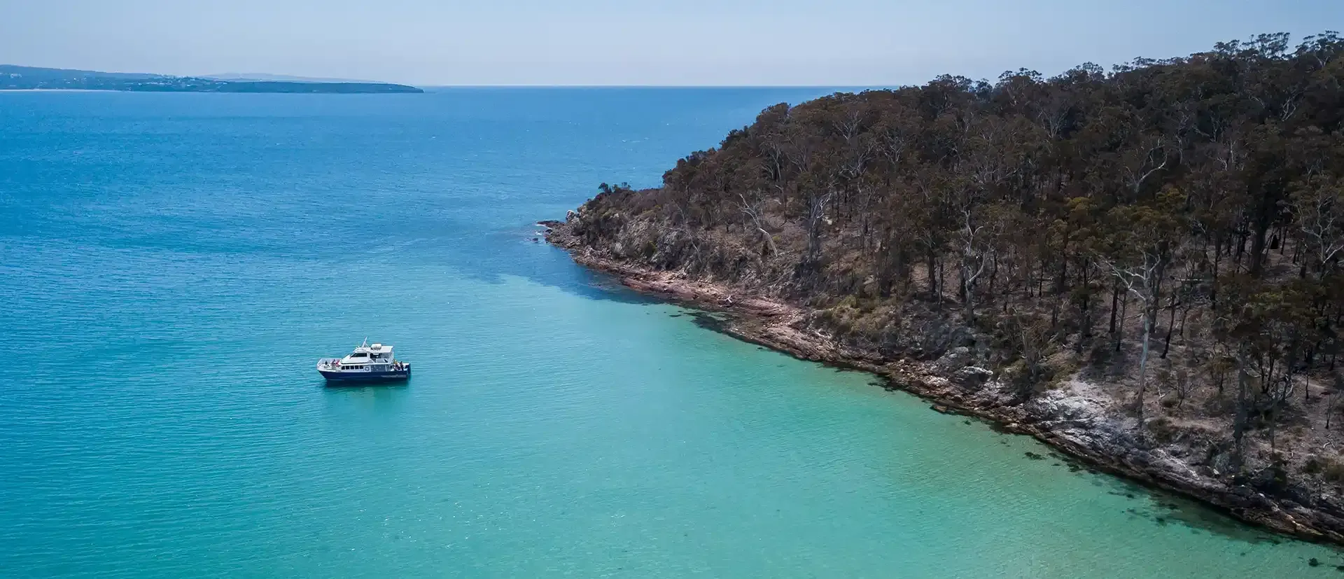 Whale watching cruise on the Far South Coast of NSW