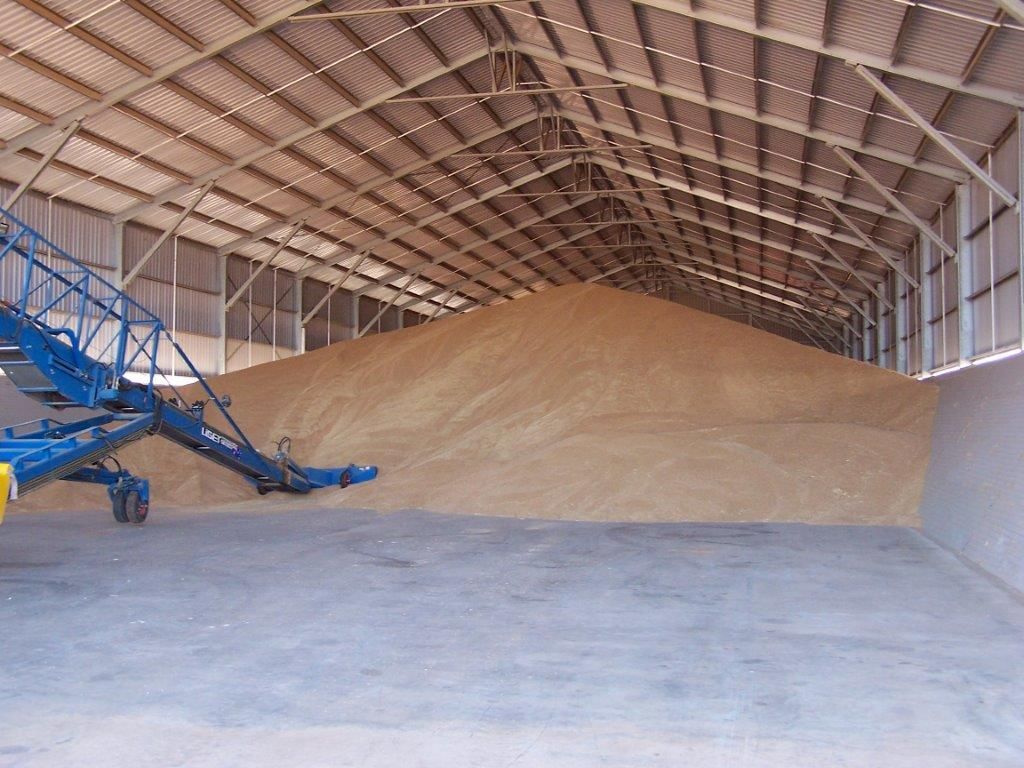 Large indoor storage shed filled with a huge mound of tan grain — More Than Garages Pty Ltd–Ranbuild Tamworth in Taminda, NSW