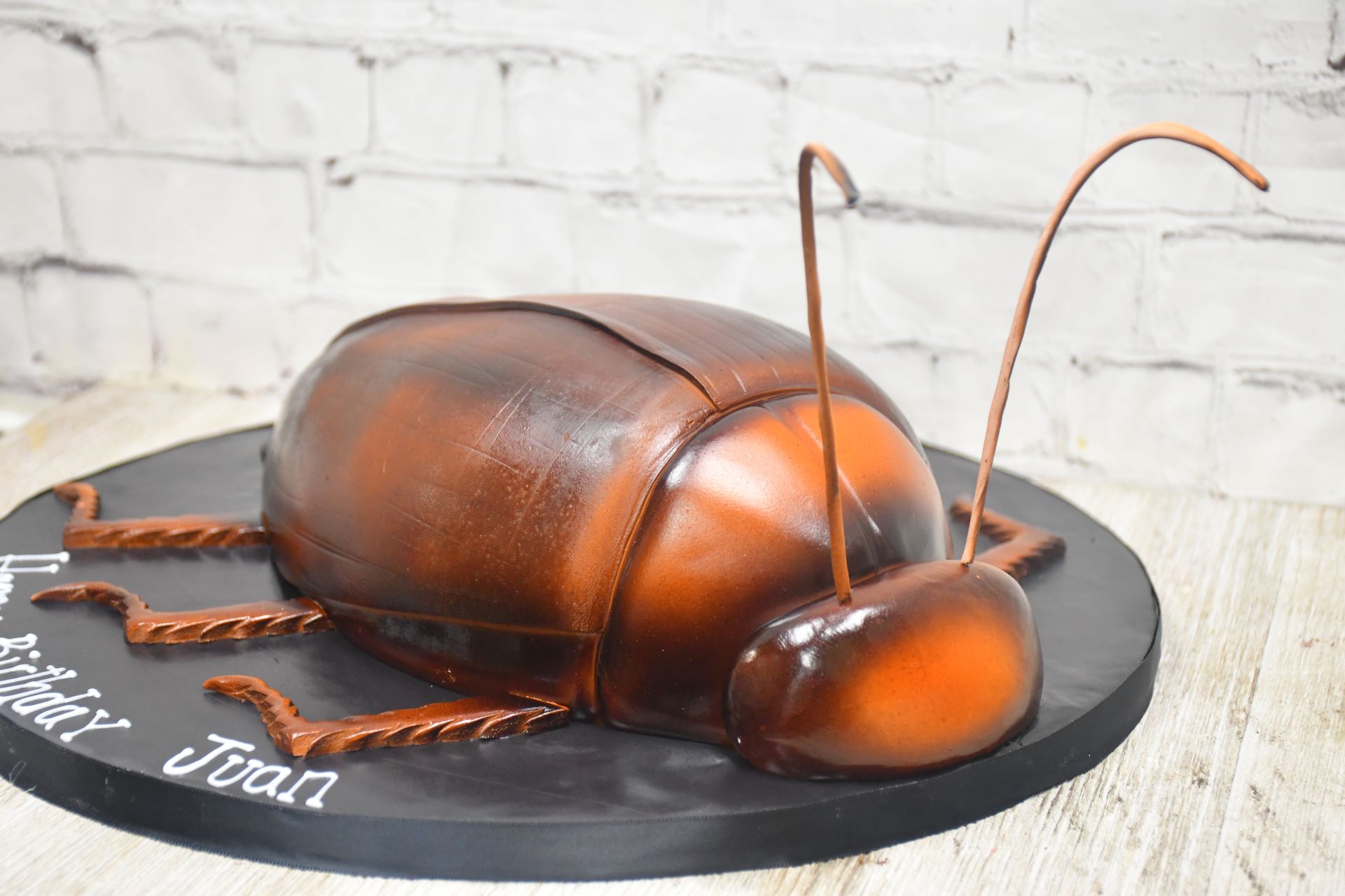 A cake in the shape of a cockroach is on a black plate.