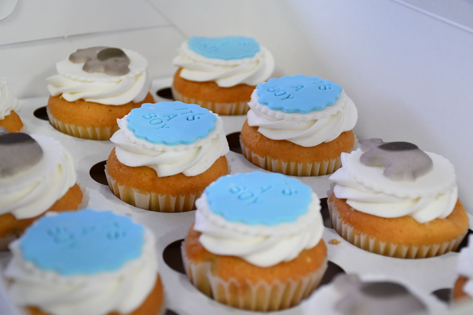 A box of cupcakes with blue frosting and elephants on them