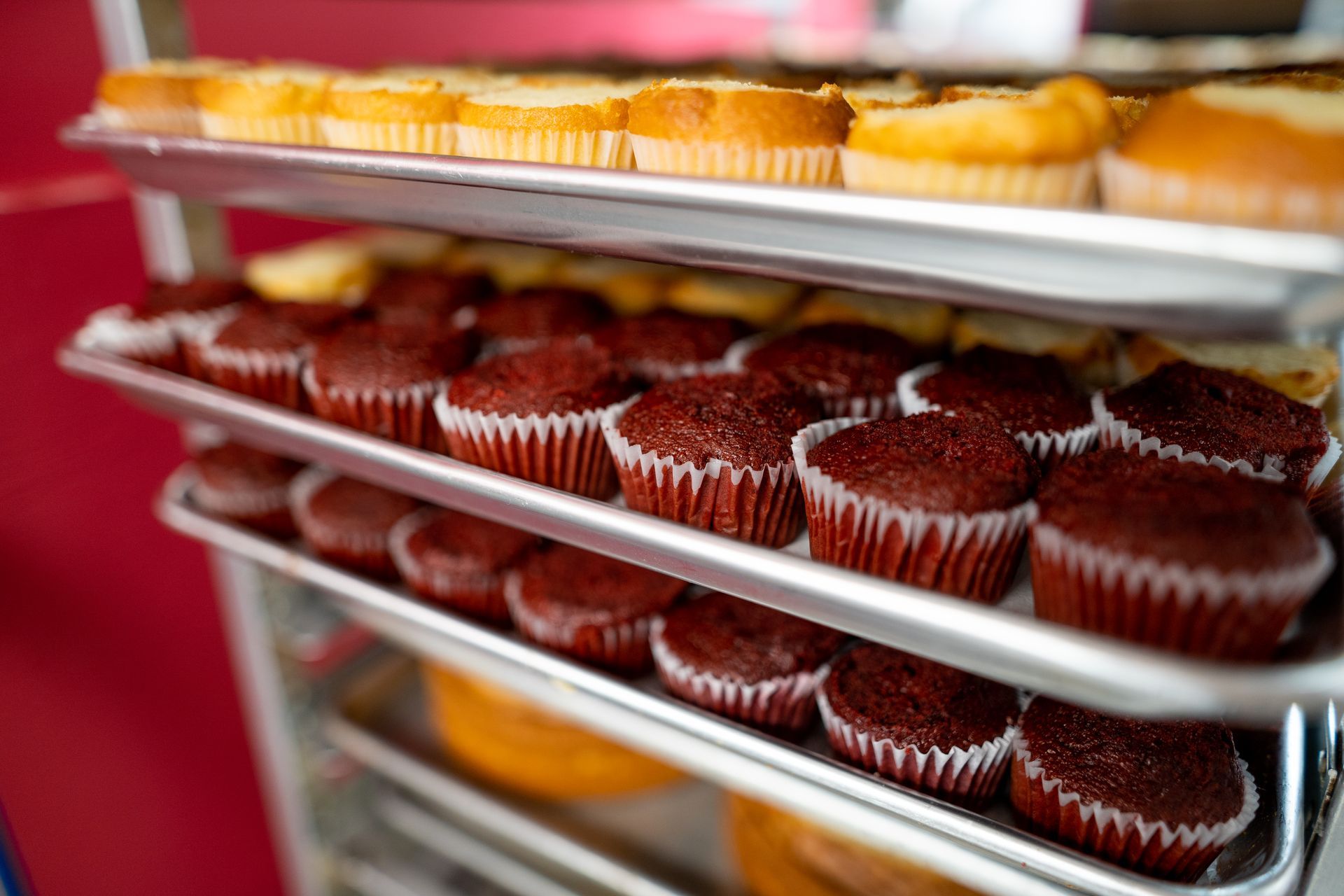 A bunch of cupcakes are sitting on a shelf in a bakery.