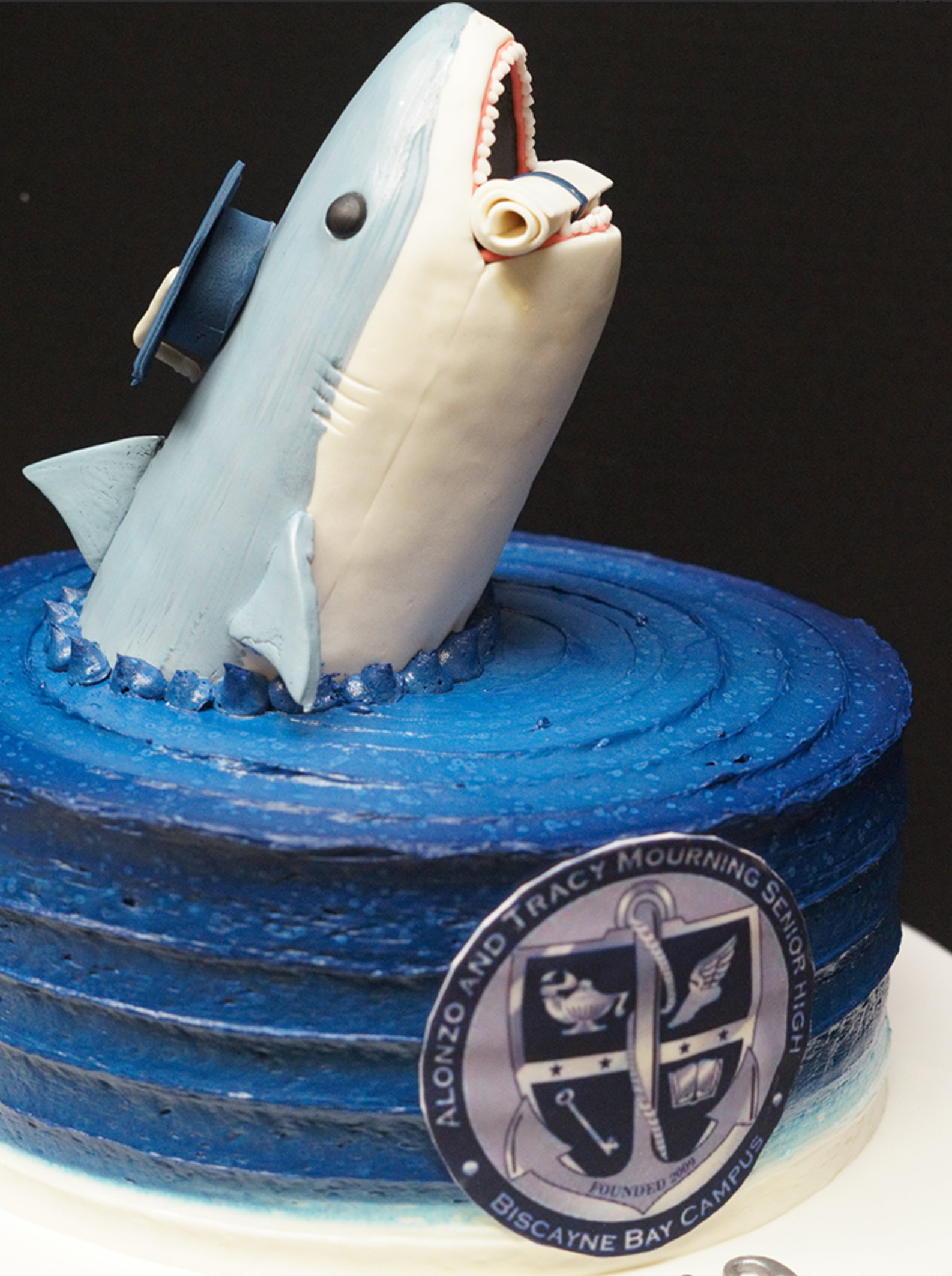 A blue and white cake with a shark on top