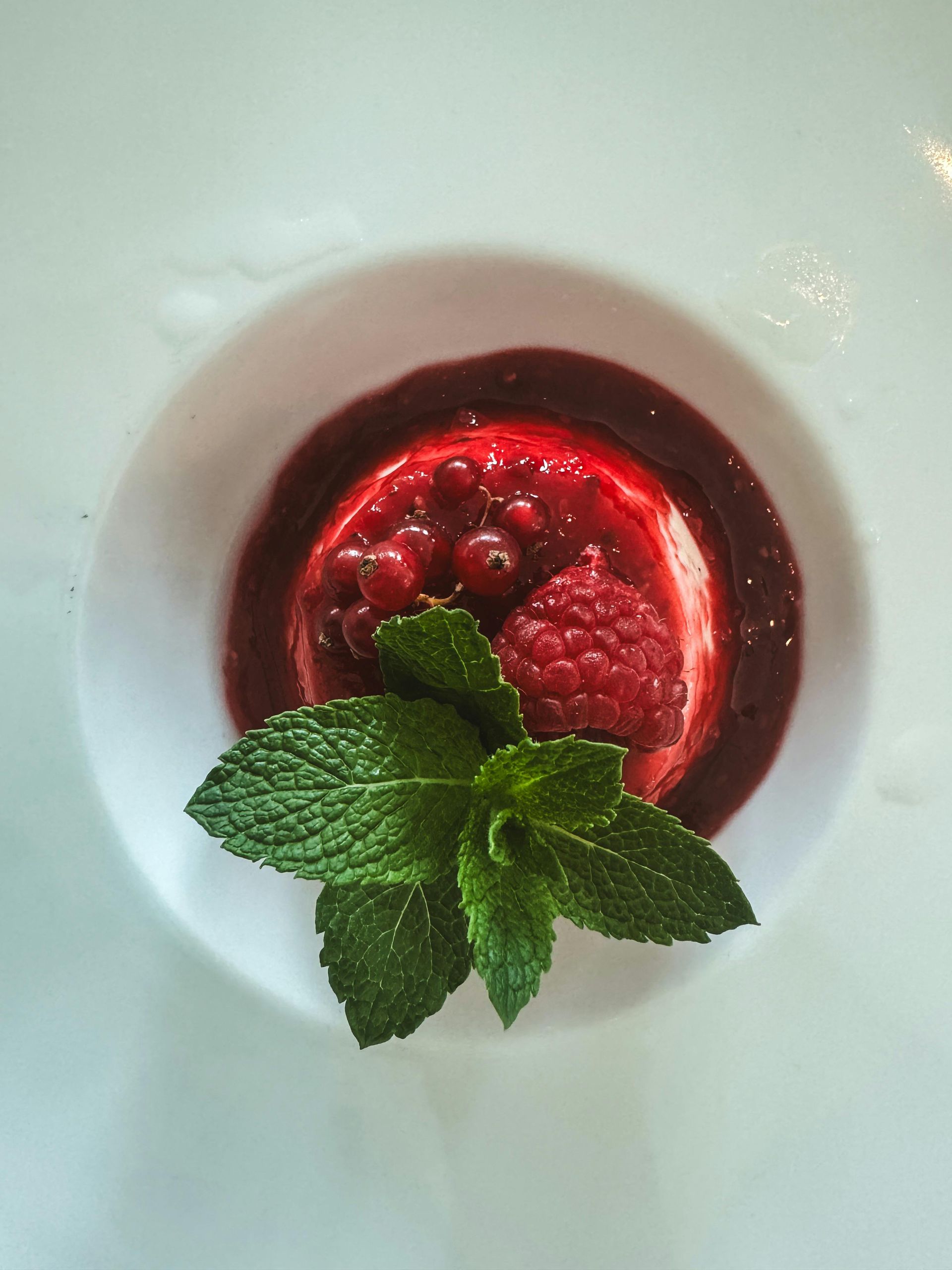 panna cotta