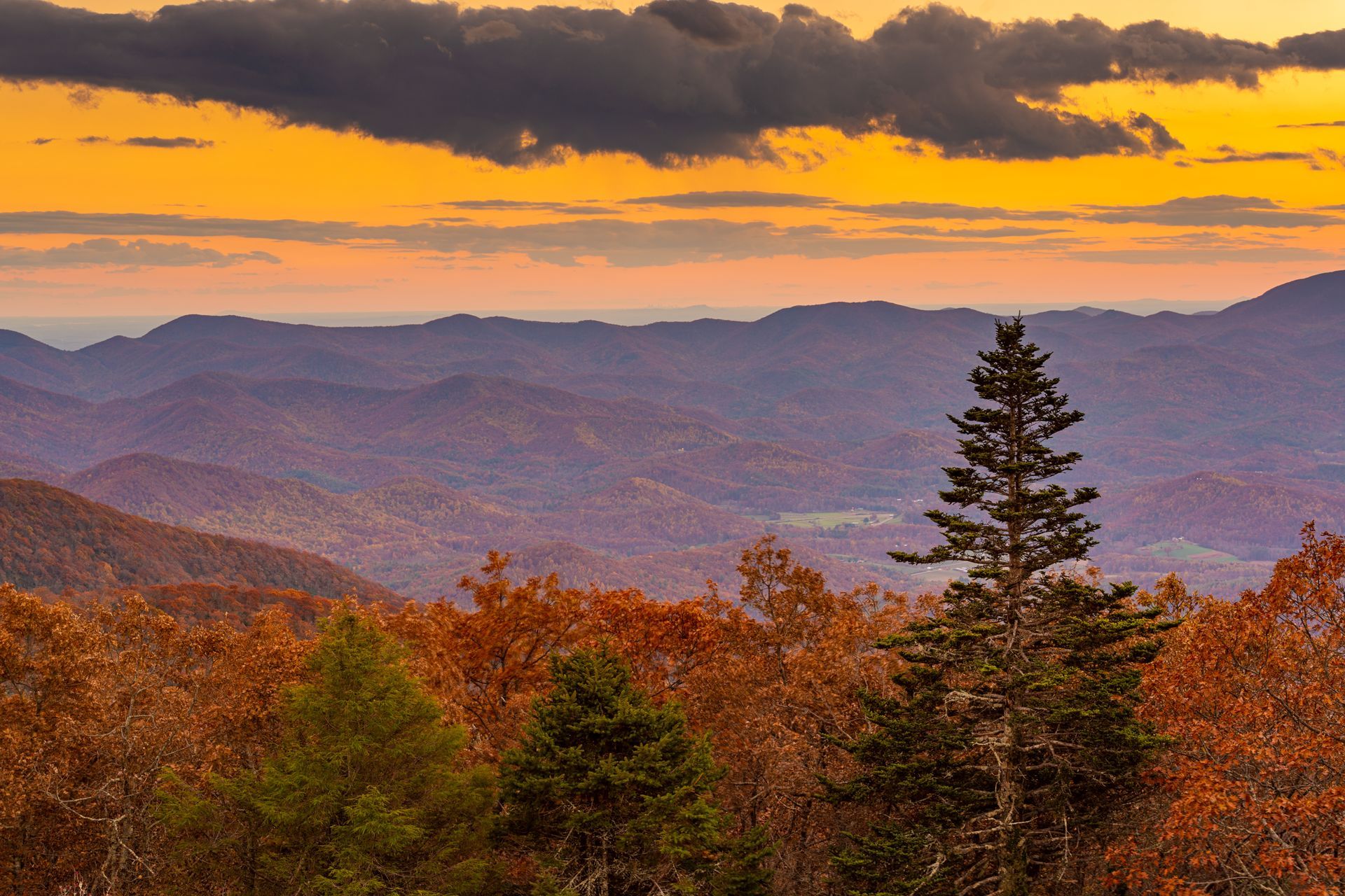 A sunset over a mountain range with trees in the foreground