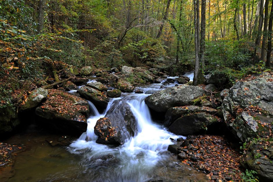 A small waterfall in the middle of a forest surrounded by rocks and trees.