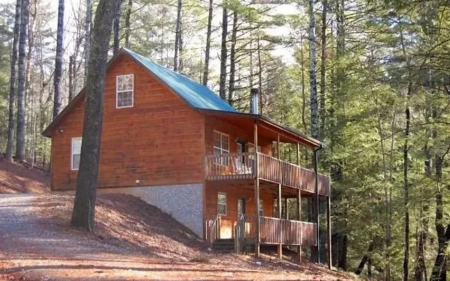 A log cabin with a blue roof is surrounded by trees.