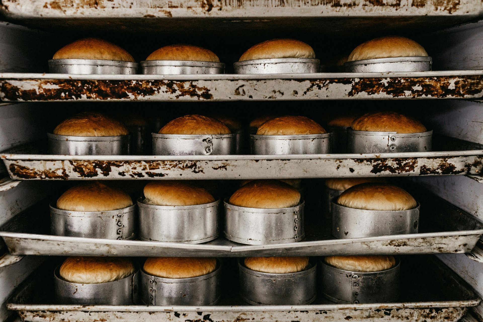 A bunch of hamburger buns are sitting on a tray in an oven.