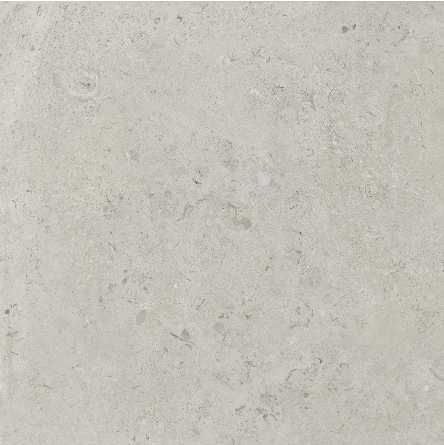 Coralina (36”x36”)