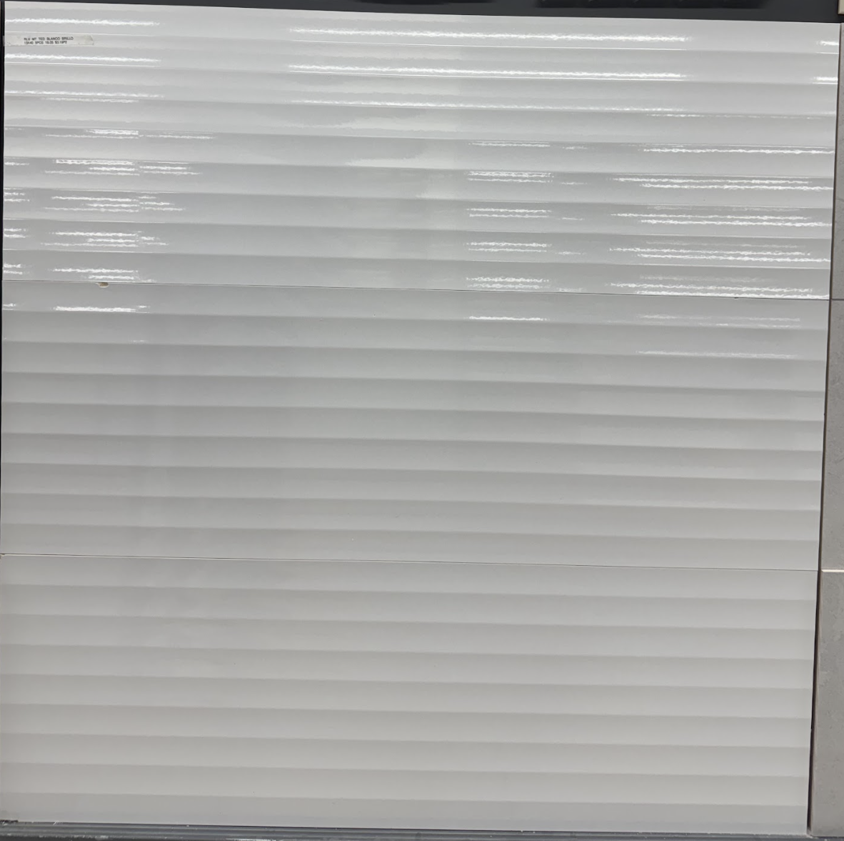 RLV MT TED BRILLO (13