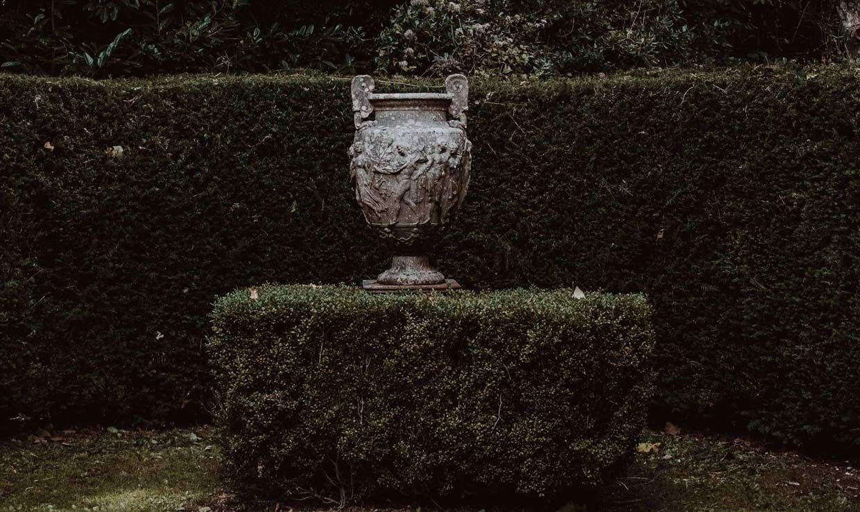 A Vase is Sitting on Top of a Hedge in a Garden — A Better Way Funerals in Balgowlah, NSW