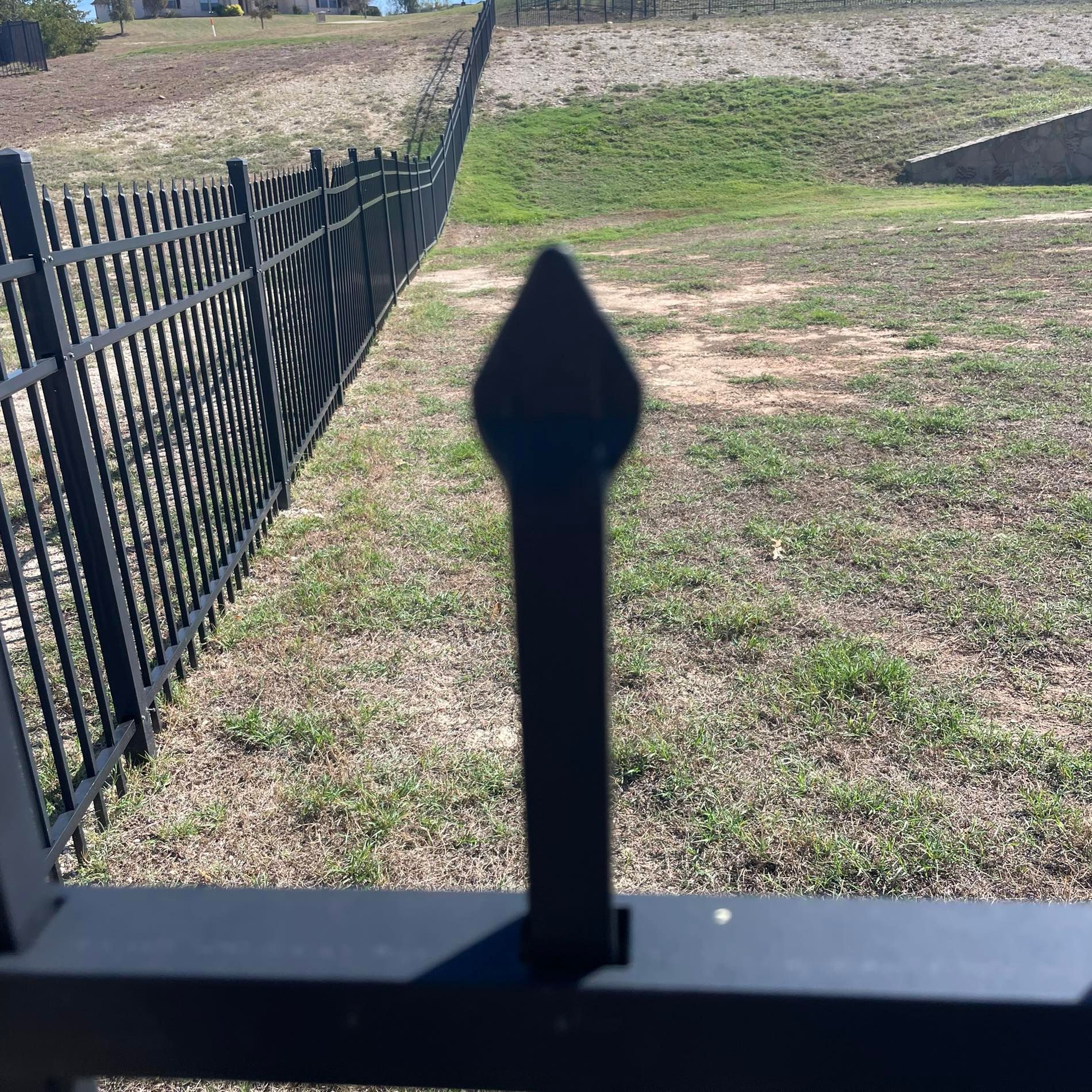Black metal fence with pointed tops, green grass, and a sunny outdoor setting.
