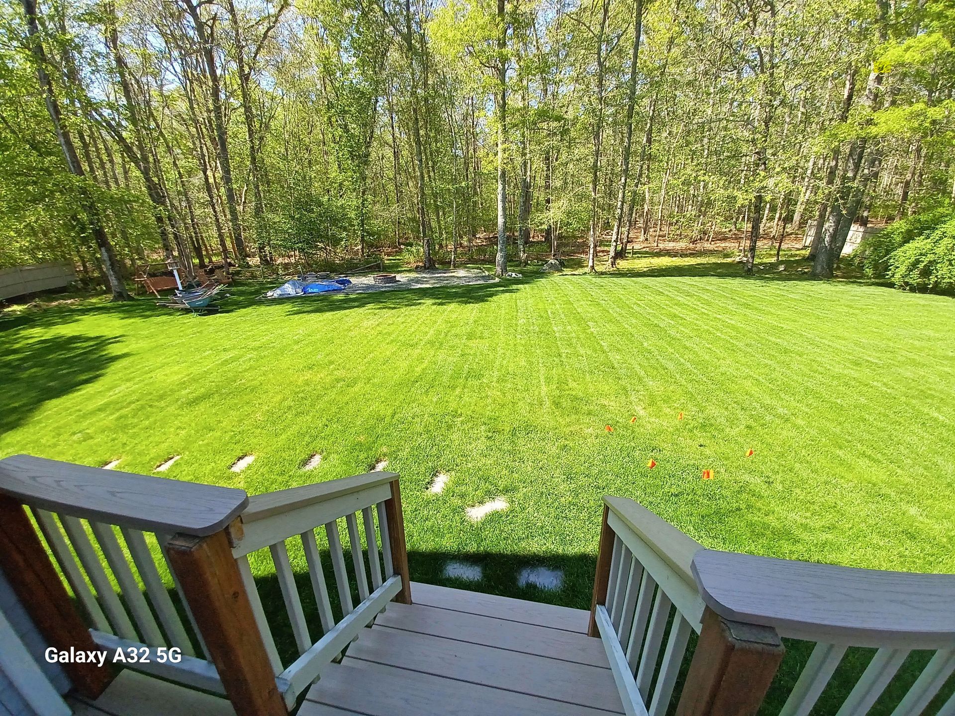 A view from wooden deck steps looking out onto a bright green lawn bordered by a forest of tall trees.