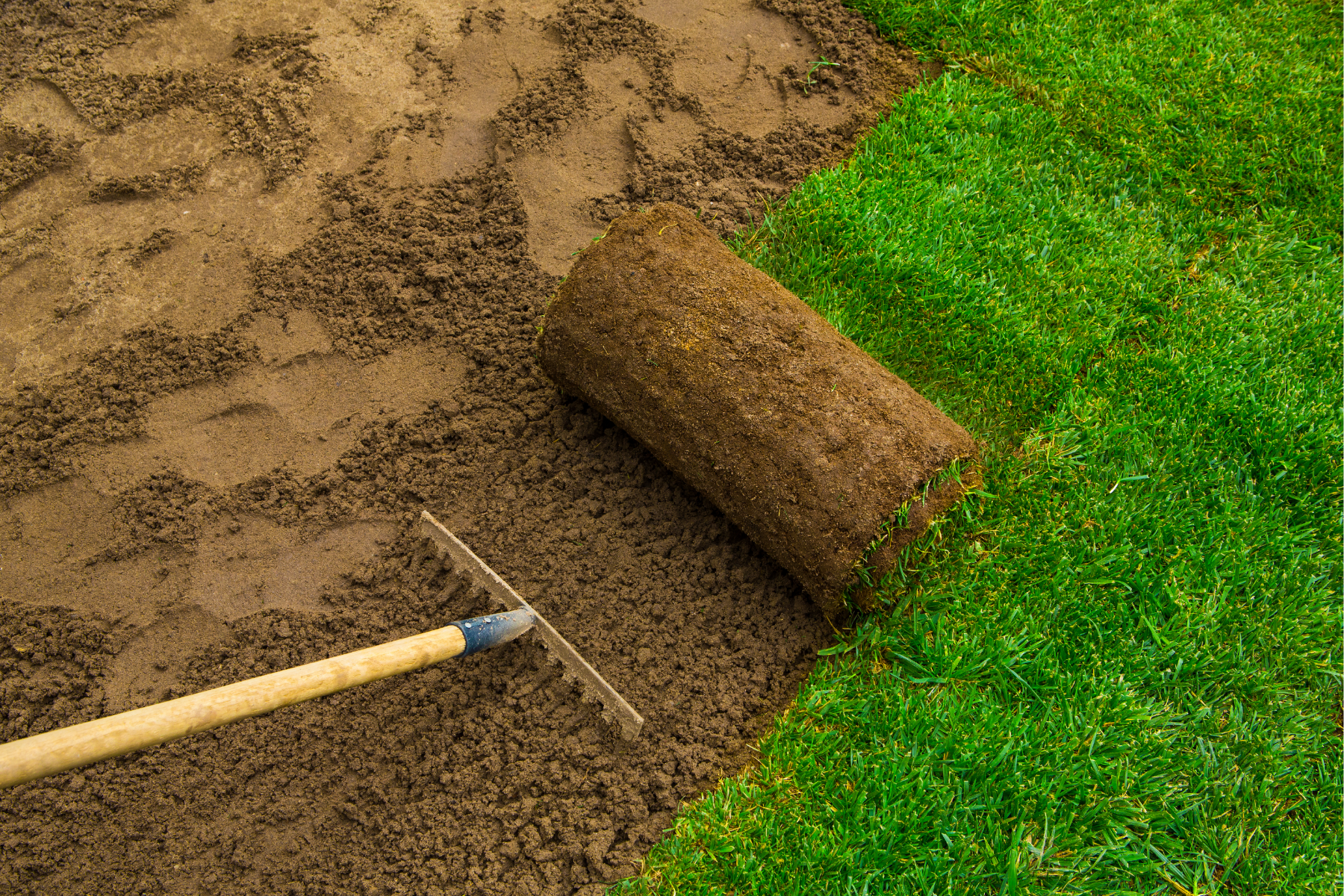 Rock solid landscaping incorporated | Installing Lawns