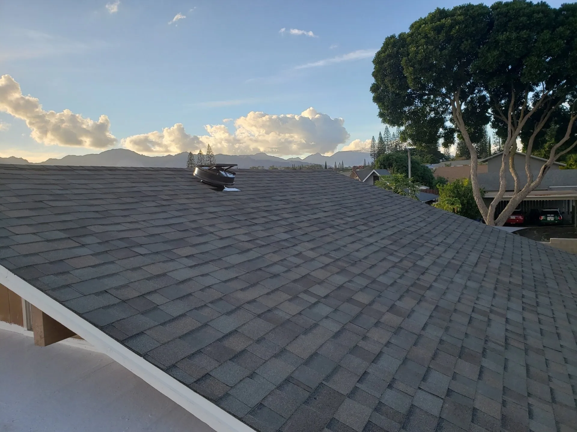 A roof with a lot of shingles on it and a tree in the background.