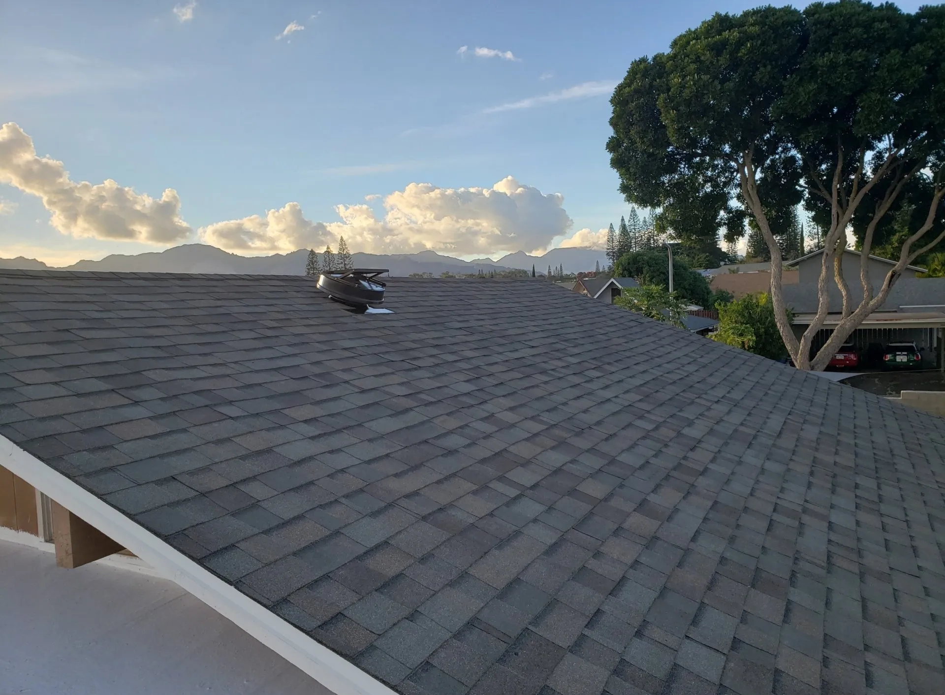 A roof of a house with palm trees in the background