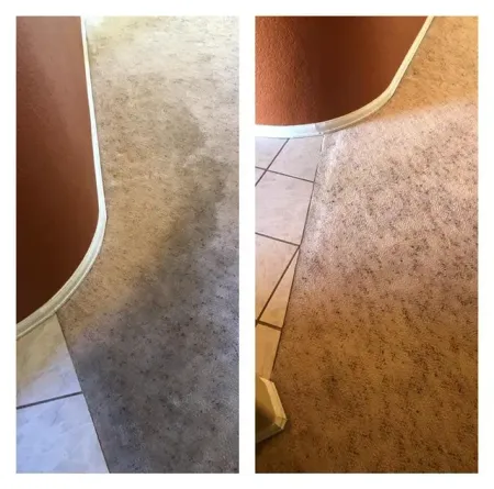 CPR Carpet Cleaning Grand Junction CO CPR Carpet Cleaning Grand Junction CO