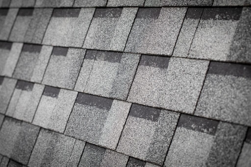 Shingle Roof
