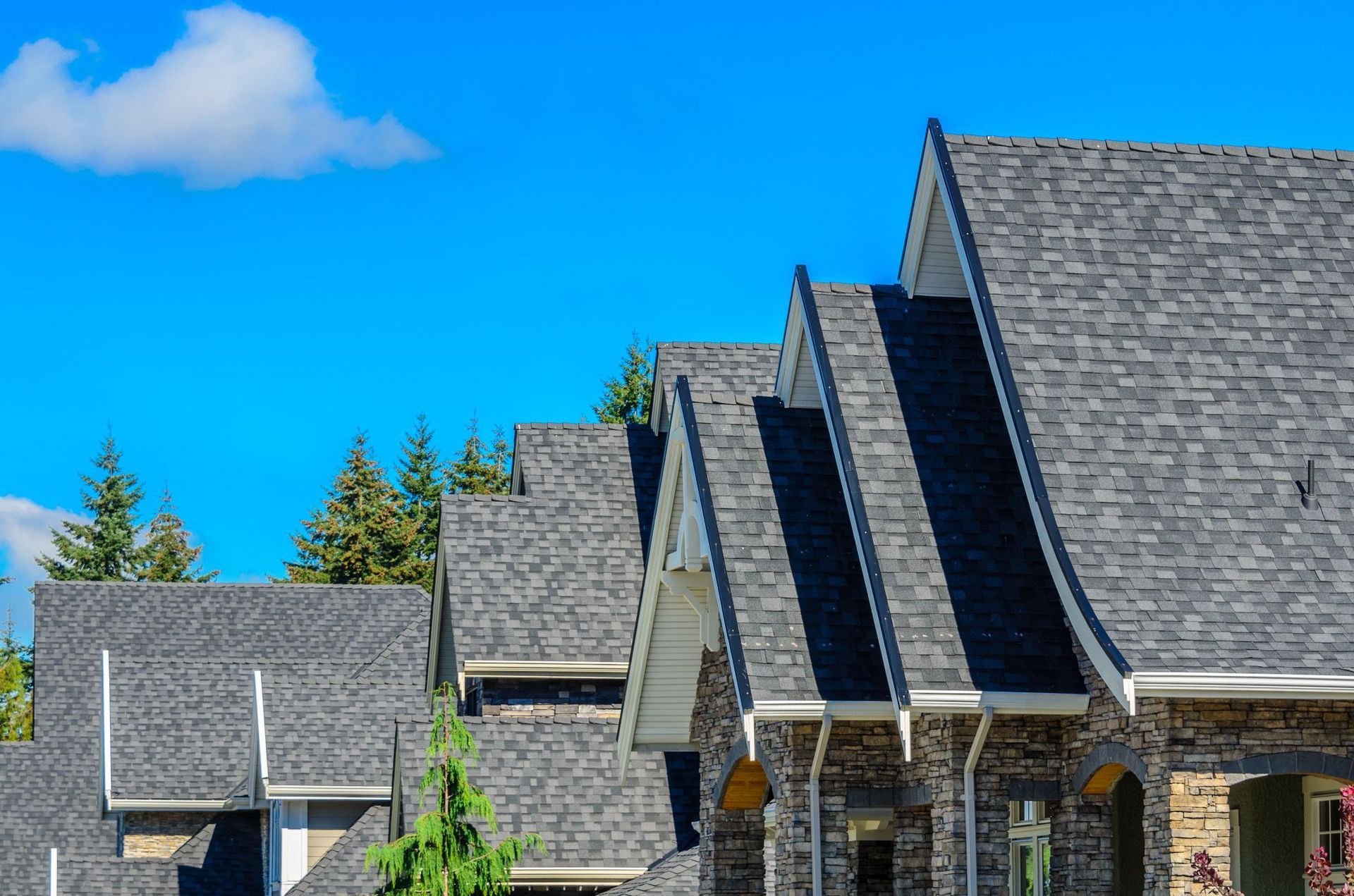 Asphalt Shingles Roof