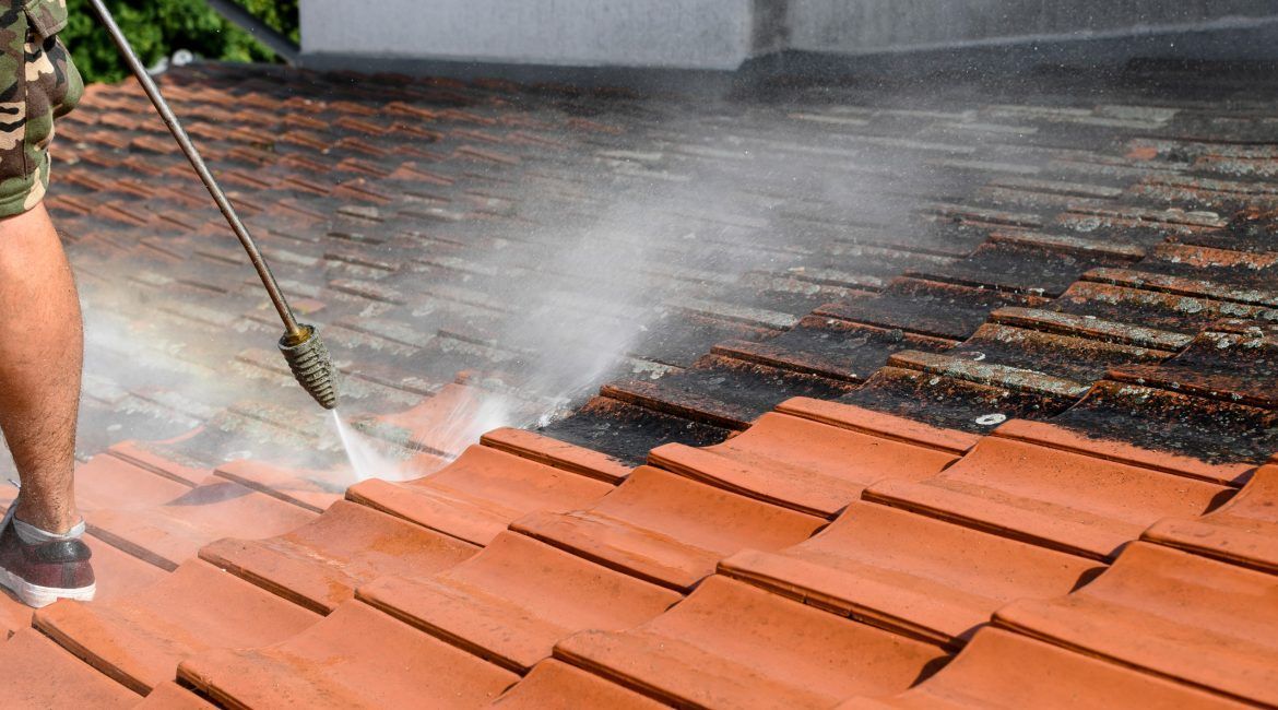 Roof Cleaning