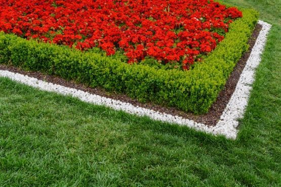 A flower bed with red flowers and green bushes on a lush green field.