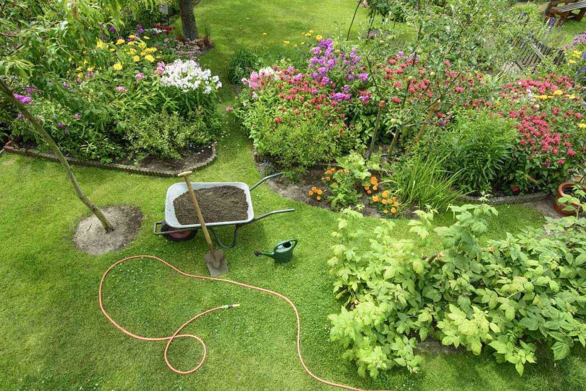 A wheelbarrow filled with dirt and a watering can in a garden.