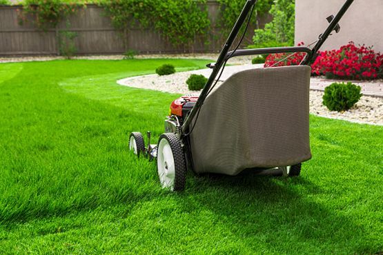 A lawn mower is cutting a lush green lawn in a backyard.