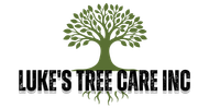 Luke&rsquo;s Tree Care Inc logo with a green tree and roots above black text