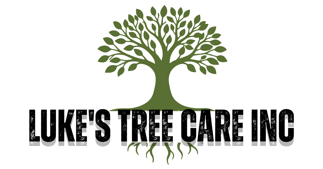 Luke&rsquo;s Tree Care Inc logo with a green tree and roots above black text