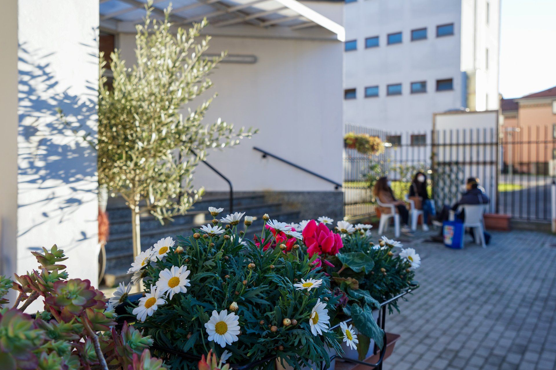 Comunità Sant'Egidio