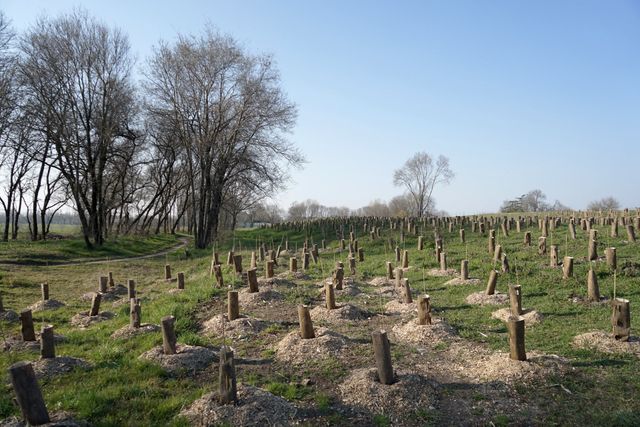 Baratto/Scambio: Mannite dietpur [ Un po' di tutto] a Milano (MI) 