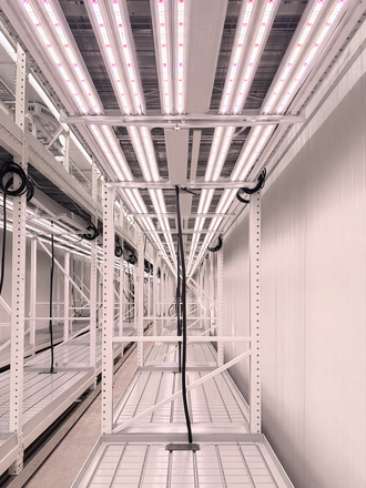 A rack with UV grow lights installed for growing plants