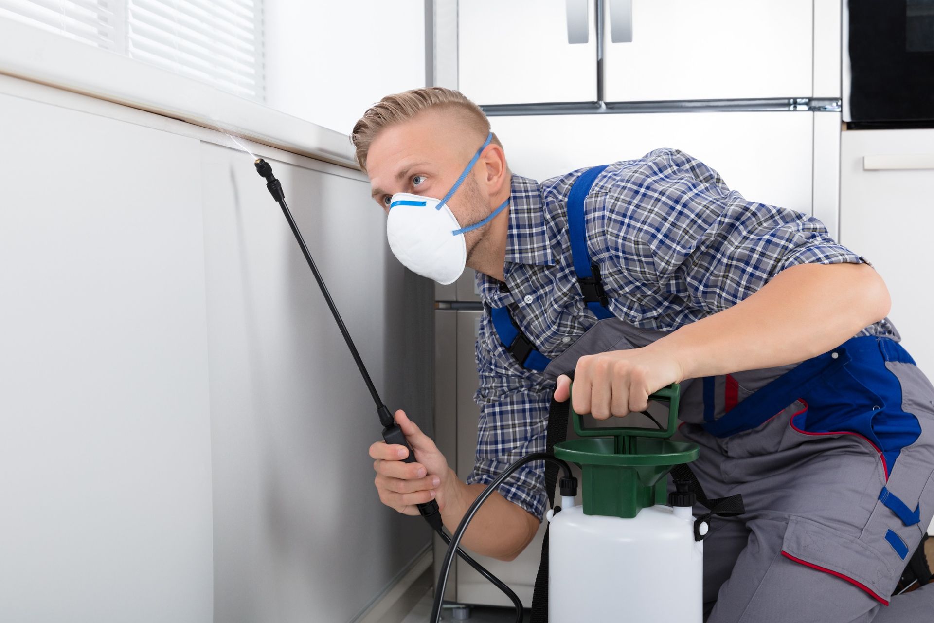 Top 7 Reasons to Hire a Professional Pest Control Service