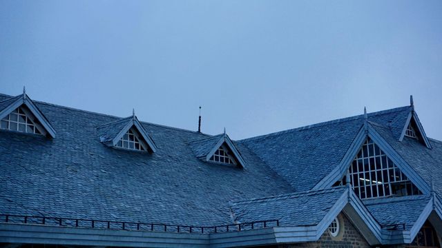 Gray slate roof with dormer windows against a blue sky.